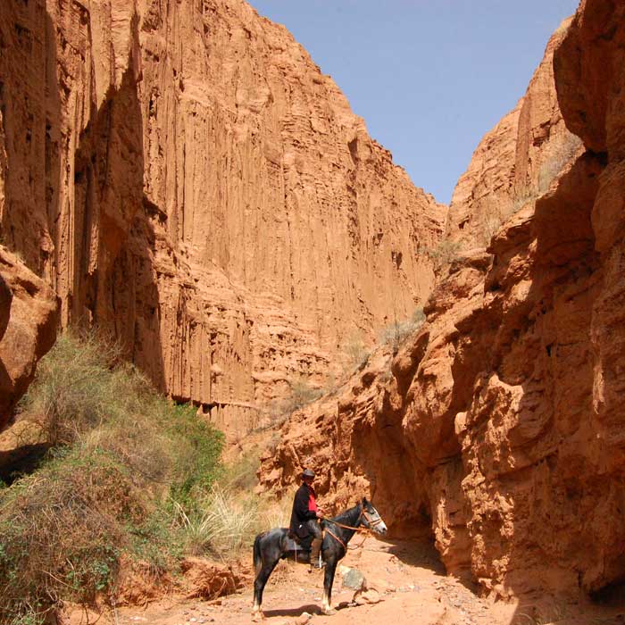 trek-vvt-rando-cheval-kirghizistan