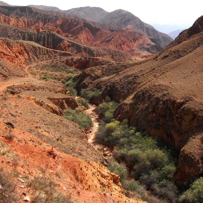 trek-vvt-rando-cheval-kirghizistan